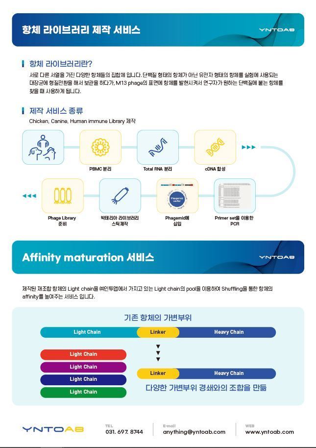 이미지명