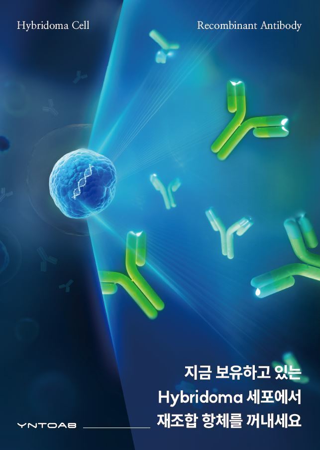 이미지명
