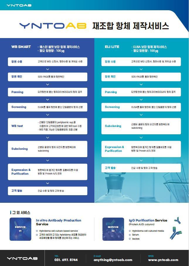 이미지명